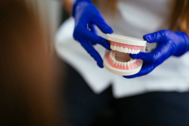 Emergency Dental Services in Manatee Road, FL